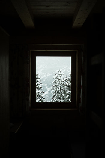 Winter, Trees, Dark, Window, Snow Covered, Snowbound HD phone wallpaper