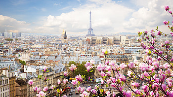 Eiffel Tower Paris France, Flowers beautiful blossom HD wallpaper