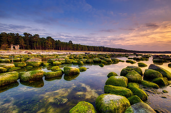 Montessori internationale, Estonia, Association HD wallpaper