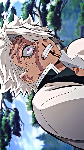 sanemi shinazugawa, eye, art, slayer, demon, anime HD phone wallpaper