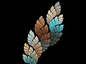 Abstract, Sheet, Leaf, Form, Shadow, Figure HD wallpaper