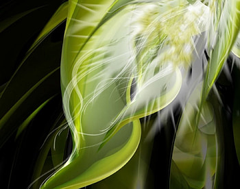 leaves of the night, night, green, smokey leaves HD wallpaper