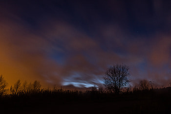 Nature, Night, Clouds, Wood, Tree, Fog, Starry Sky HD wallpaper
