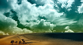 Colorful Clouds, clouds, trees, field, beauty HD wallpaper