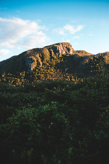 Nature, Trees, Sky, Mountains, Bush, Rocks HD phone wallpaper