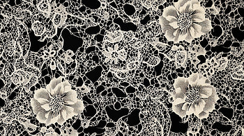 Elegant Lace Pattern - Ultra, lace, lace pattern, flower, floral pattern, black HD wallpaper
