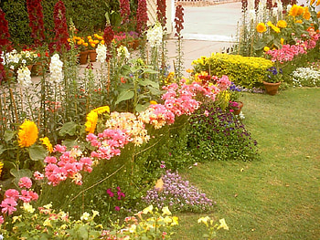 summer garden, summer, garden, nature, flowers, colourful HD wallpaper