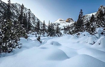 winter fairy tale, Winter, white, snow, trees, fairy tale, beauty, mauntain HD wallpaper