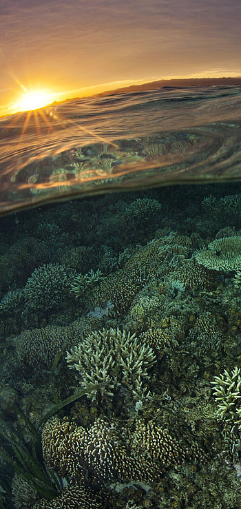 Mesmerizing ocean scene, Stunning , Deep-sea mystery, Sublime beauty HD phone wallpaper