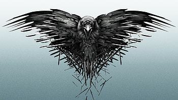 Game Of Thrones Raven, game-of-thrones, tv-shows, logo HD wallpaper