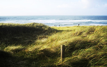 Wafting, beautifull, beach HD wallpaper