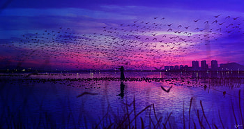 Sky Is The Stage And Birds Sing, artist, artwork, digital-art, pixiv HD wallpaper