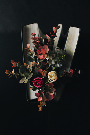 Flowers, Dark, Miscellanea, Miscellaneous, Bouquet, Book, Eucalyptus HD phone wallpaper