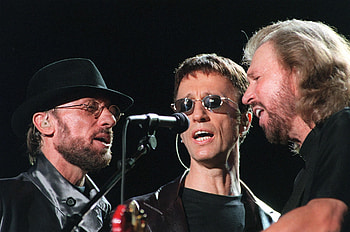 Bee Gees, Musical in the works, AOTM, Musical tribute HD wallpaper