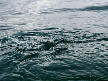 Nature, Water, Ripples, Ripple, Blur, Smooth, Surface HD wallpaper