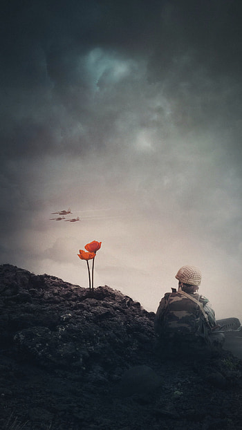 Remembrance Day, sky, poppy, momeries, world war 2, war, america, flower, veterans day, world war, world war 1, cloud, canada, veteran, lest we forget, soldier, god bless america HD phone wallpaper