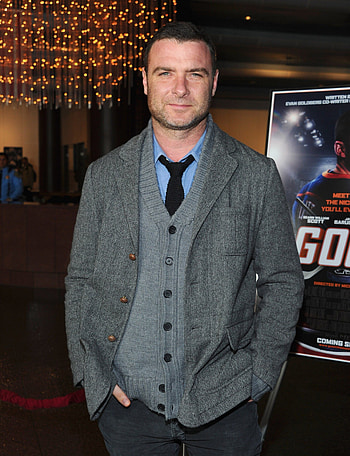 Liev Schreiber, Ray Donovan character, Handsome actor, TV series star HD phone wallpaper