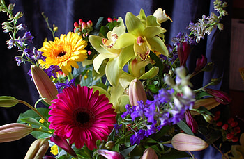 Flowers, Gerberas, Registration, Typography, Bouquet, Composition, Orchids HD wallpaper