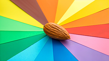 Almond in Vivid Colors, almond, color wheel, rainbow, seed, nut HD wallpaper
