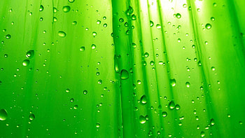 Cool Green Backgrounds HD wallpaper