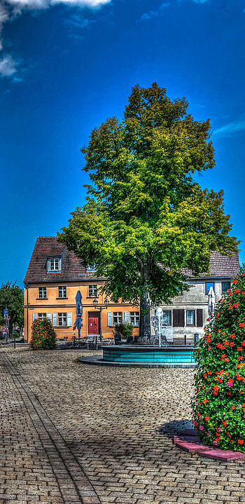 Bradenburg, Germany, tree, house, street, town, Germany, graphy, R HD phone wallpaper