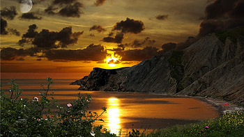 magnificent coastal cliffs at sunset, sea, reflection, cliffs, coast, clouds, flowers, sunset HD wallpaper