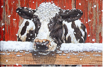 winter cow, farm, winter, country, cows HD wallpaper