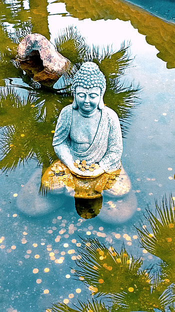 Buda, people_in_nature, green, China HD phone wallpaper