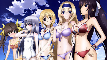 Infinite Stratos, 2011-2013 series HD wallpaper