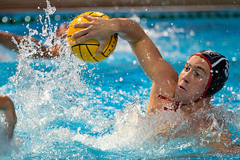 Ilias Stothart, Water Polo HD wallpaper