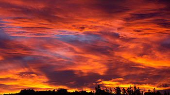 Nature, Trees, Sunset, Sky, Clouds, Bush HD wallpaper