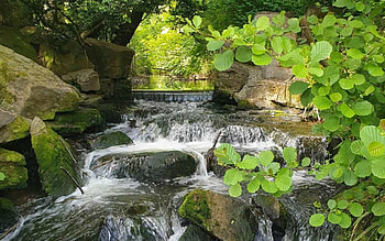 Waterfall in Latvia, waterfall, Latvia, leaves, rocks HD wallpaper