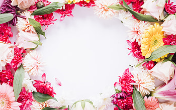 frame with peonies, flower frame, colorful peonies, frame of flower buds, peonies frame, spring flowers frame HD wallpaper