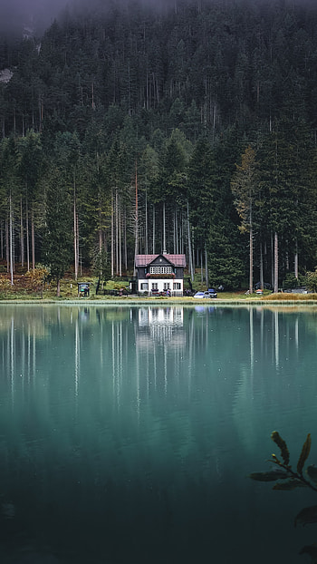 Country house, Lake shore, Serene nature, Tranquility captured HD phone wallpaper