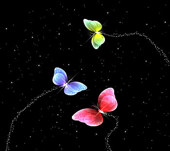 In Flight, butterflies, abstract, animals, other, nature, insect HD wallpaper