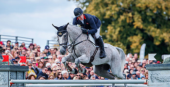 Equestrian sports, Ballaghmor class, Horse of the month, Eventing HD wallpaper