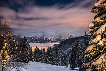 Winter, Nature, Trees, Mountains, Snow, Germany, Bavaria HD wallpaper
