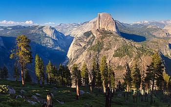 Yosemite, fun, cool, nature, forest, mountain HD wallpaper