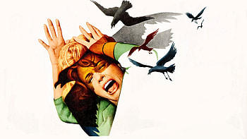 The Birds, , Backgrounds HD wallpaper