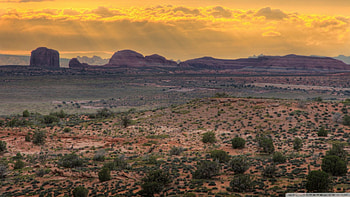 canyonlands sunset, desert, brushes, canyon, sunset HD wallpaper