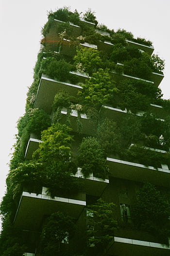 A striking vertical forest building in Milan featuring abundant greenery and plants on the facade. HD phone wallpaper