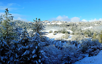 Redwood Highway, Northern California, trees, landscape, sky, snow, usa HD wallpaper