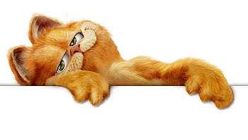Garfield 2004, afis, white, pisici, poster, garfield, cat, orange, ginger HD wallpaper