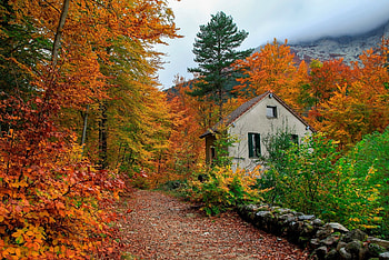 Mountain Road in Autumn, Road, in, Autumn, Mountain HD wallpaper