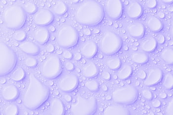 Close-up of water droplets on a lavender background, perfect for use as an abstract . HD wallpaper