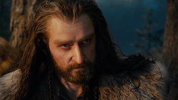 Thorin, Look superior, Look up, Imgur HD wallpaper