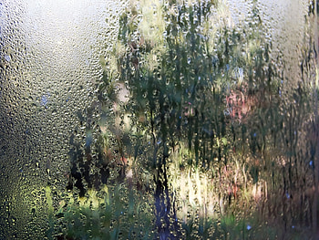 Water, Background, Drops HD wallpaper