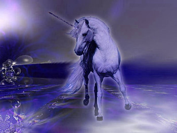 Unicorn Beauty, night, unicorn, sky HD wallpaper