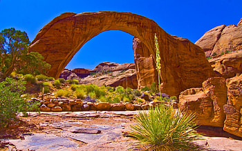 Canyon, sky, plants, stones HD wallpaper
