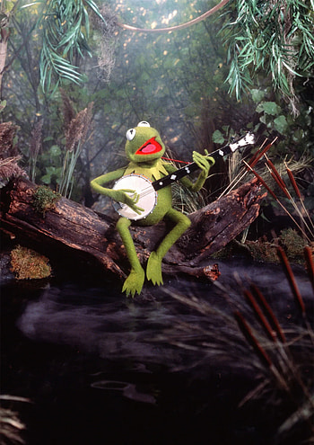 Rainbow Connection, Kermit the Frog HD phone wallpaper
